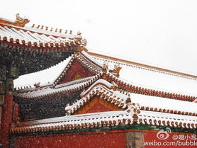 北京的雪终于下到故宫了