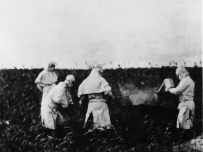 揭露731部队：二战中的残忍罪行与历史真相