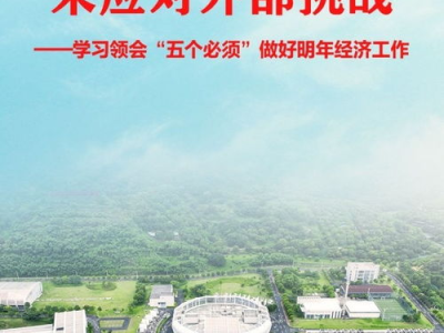 苦练内功，破浪前行：应对外部挑战的内在力量