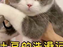 咪的世界发大水了咪处理不好